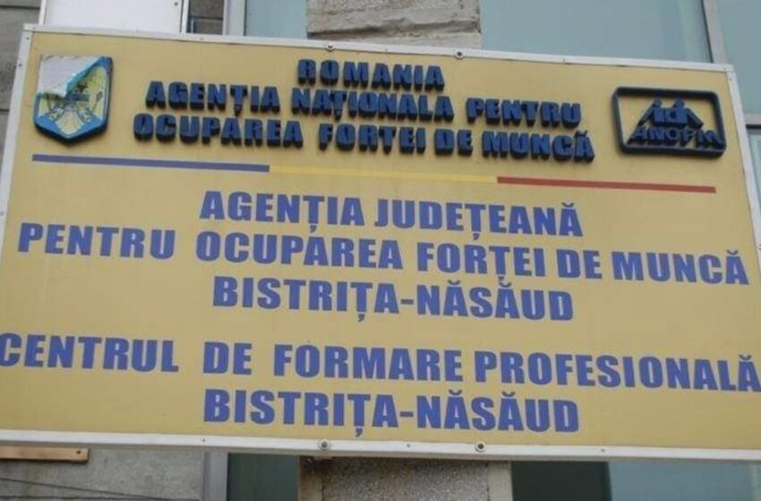  AJOFM organizează Bursa locurilor de muncă pentru absolvenți în data de 14 octombrie 2022