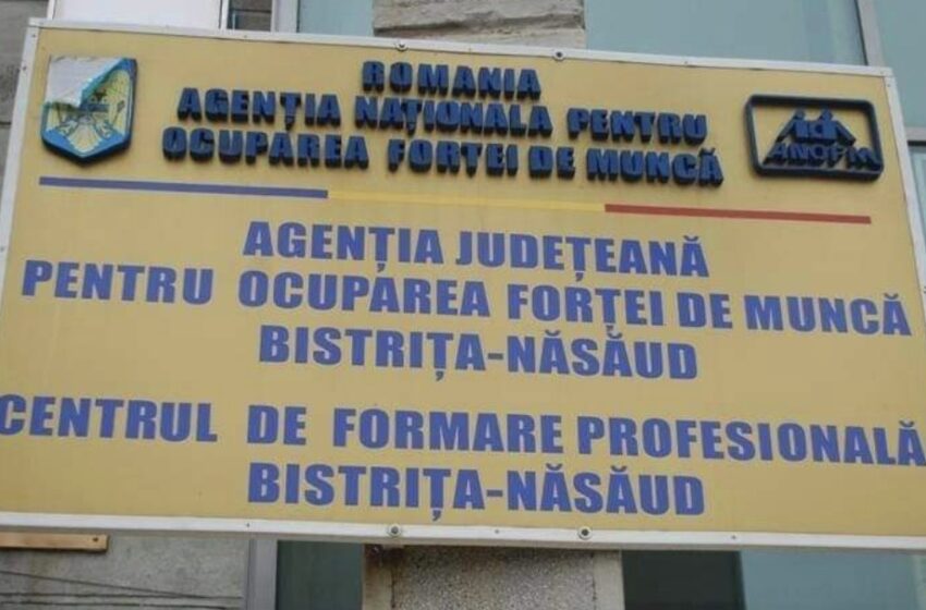  AJOFM. Aproximativ 400 de locuri de muncă pentru absolvenţii din Bistrița-Năsăud