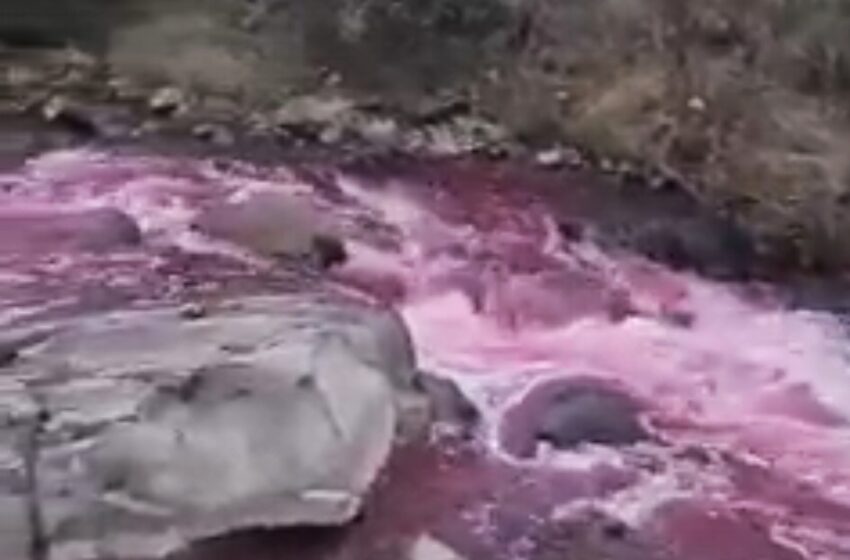  (VIDEO) Apă curgătoare ,,roșie” pe râul Sălăuța. Ce cred localnicii
