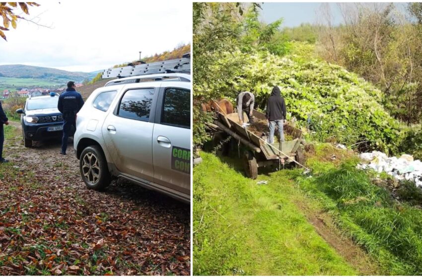  Două persoane din Bistrița-Năsăud sancționate aspru pentru abandonarea deșeurilor în natură