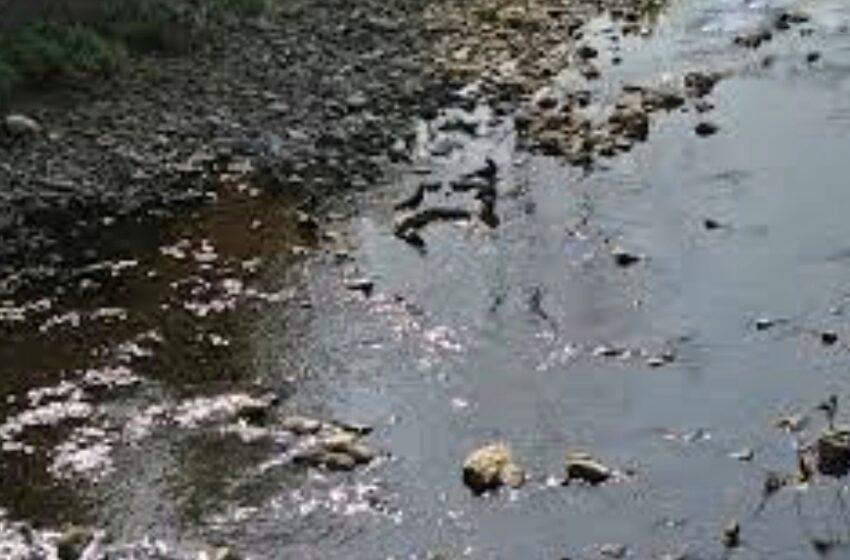  Un bărbat a fost găsit mort într-un pârâu, pe raza localității Tăure
