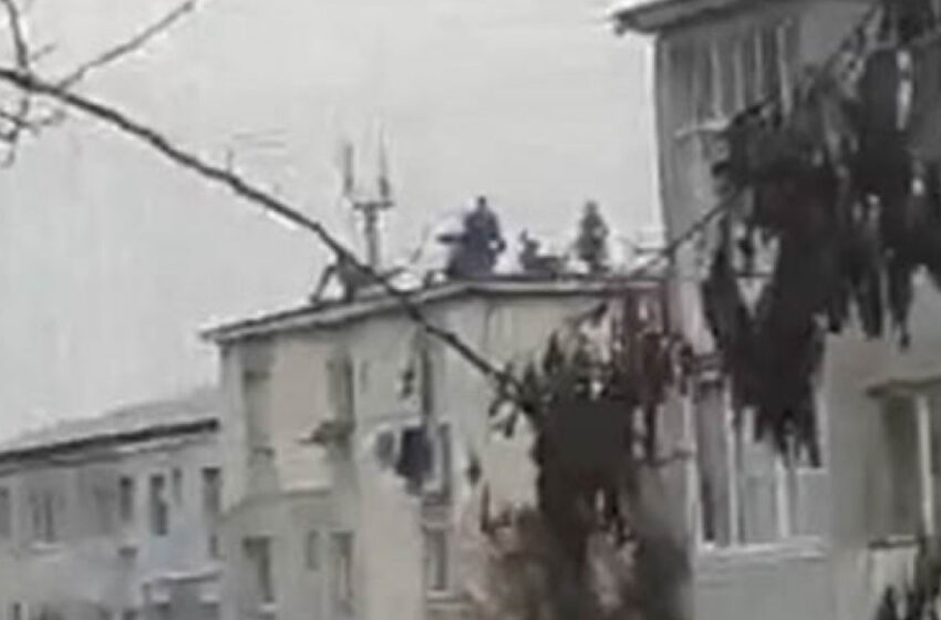  Ca in România, nicăieri! Câțiva bărbați au fost surprinși   in timp ce tăiau porcul pe bloc !
