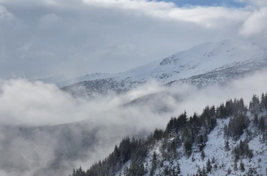  METEO. Ger în tot județul la început de săptămână. Care au fost temperaturile minime care au dat bună dimineața