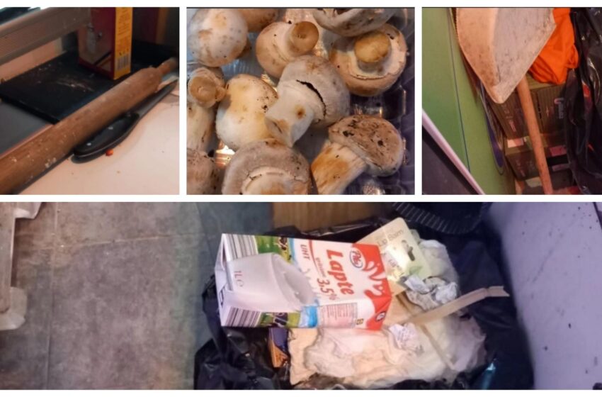  Protecția Consumatorului Bistrița-Năsăud, a amendat un fast-food din comuna Telciu