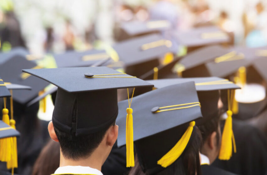  Facultatea de 2 ani revine în România! Care sunt meseriile în care poți activa cu acest tip de învățământ
