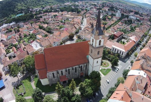  PSD Bistrița: Primăria Bistrița, să nu îndrăznești să mergi mai departe cu tăierea copacilor din jurul Bisericii Evanghelice!