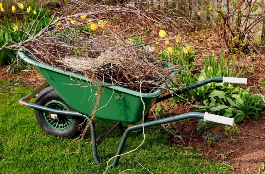  Cetățenii din județul Bistrița-Năsăud pot scăpa gratuit de deșeurile vegetale! Consultă calendarul de colectare