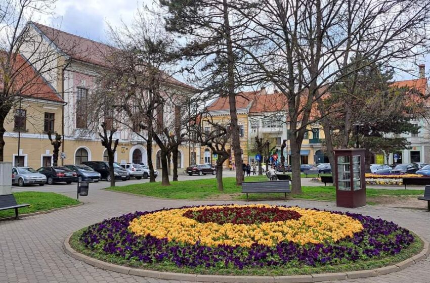  Direcţia Servicii Publice – intervenții programate în săptămâna 24.04.2023 – 28.04.2023