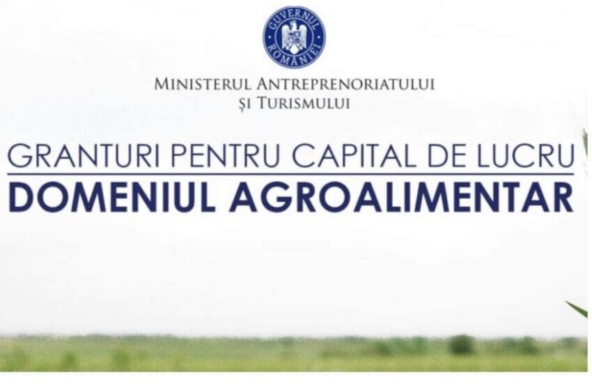  Granturi pentru Capital de lucru KARINA UNIC SRL
