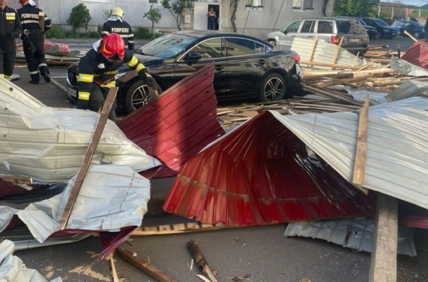  Momente de coșmar în Bistrița din cauza vântului. Copac  căzut peste  mai multe mașini și un acoperiș de bloc prăbușit!