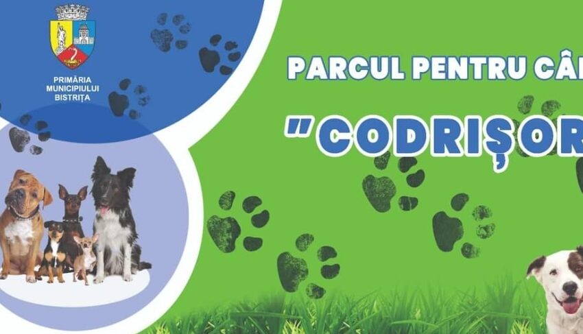  Primul parc pentru câini se deschide joi în Bistrița