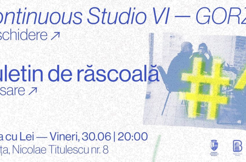  Lansarea atelierului ,,Continuous Studio VI” demarată de Dumitru Gorzo și curatoriat de Lina Țărmure, la Casa cu Lei