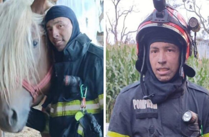  El este pompierul care a salvat 3 cai în incendiul de la Cormaia. FOTO