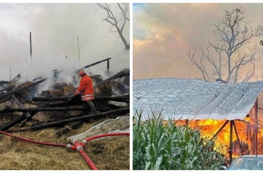  Grajd din Cormaia în flăcări, după ce a fost trăsnit