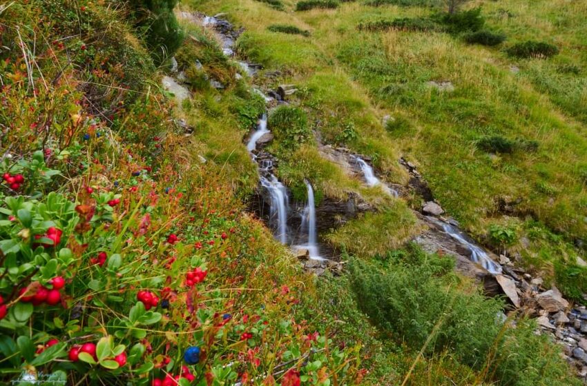  Cascada Zânelor, locul de poveste din Munții Rodnei. FOTO