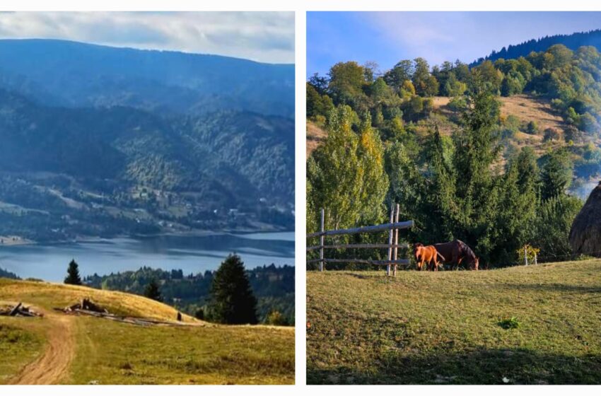  Tablou de toamnă autentic în zona lacului Colibița. FOTO