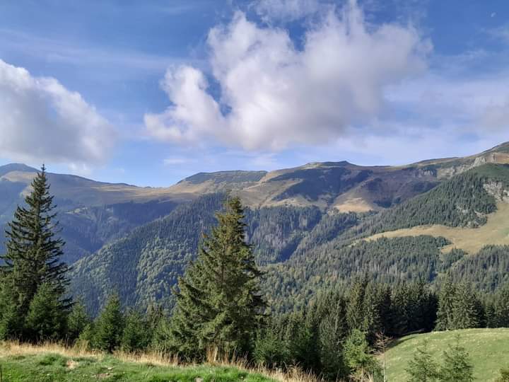  Bucuria toamnei în Parcul Național Munții Rodnei. FOTO