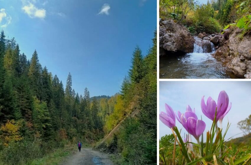  Octombrie, în culorile toamnei, pe Valea Budacului și Bolovanul. FOTO