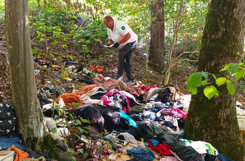  Bărbat amendat cu 30.000 de lei, după ce a aruncat gunoaie în pădurea de la Sigmir