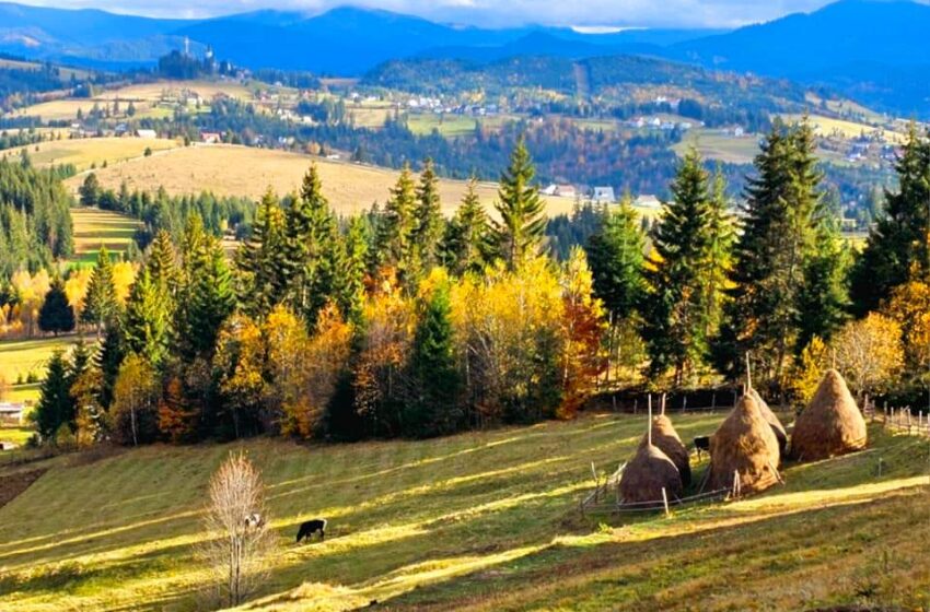  Toamnă mirifică în Pasul Tihuța, pe drumul spre satul Ciosa. FOTO