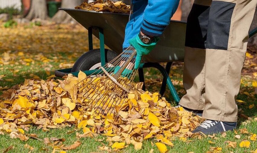  În perioada 13 noiembrie – 03 decembrie se desfășoară campania gratuită de colectare a deșeurilor VEGETALE!