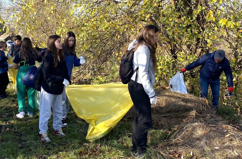  Royal School in Transylvania și ADI Deșeuri, într-o acțiune de ecologizare a drumului între localitățile Dorolea și Cușma