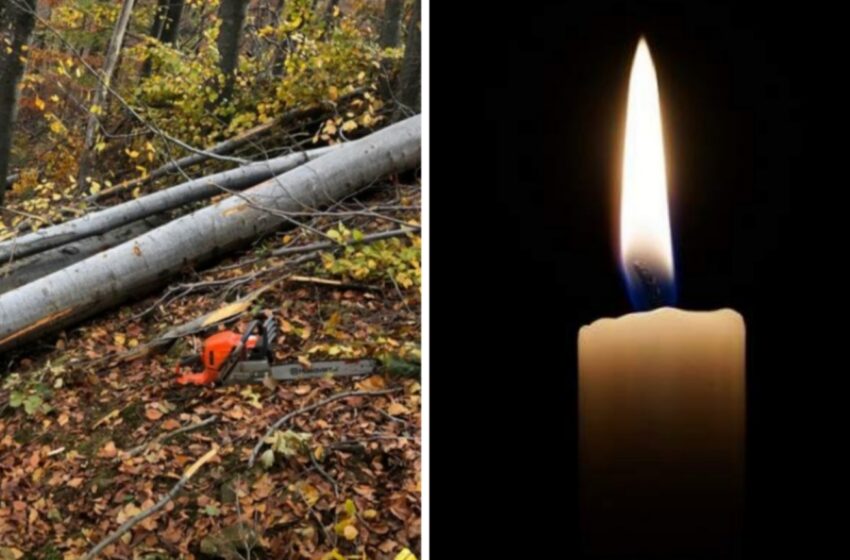  TRAGEDIE! Un tânăr de numai 18 ani din Telcișor, a murit strivit de un copac în Austria