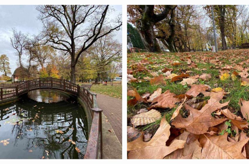  Început de noiembrie cu culori de toamnă în Parcul Municipal din Bistrița. FOTO