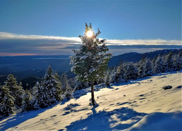  Va ninge în tot județul din această seară până duminică. De Crăciun va ploua