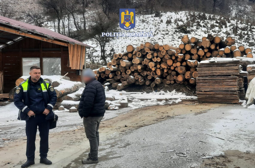  Sancțiuni aplicate de polițiști pentru combaterea tăierilor ilegale de arbori în județ