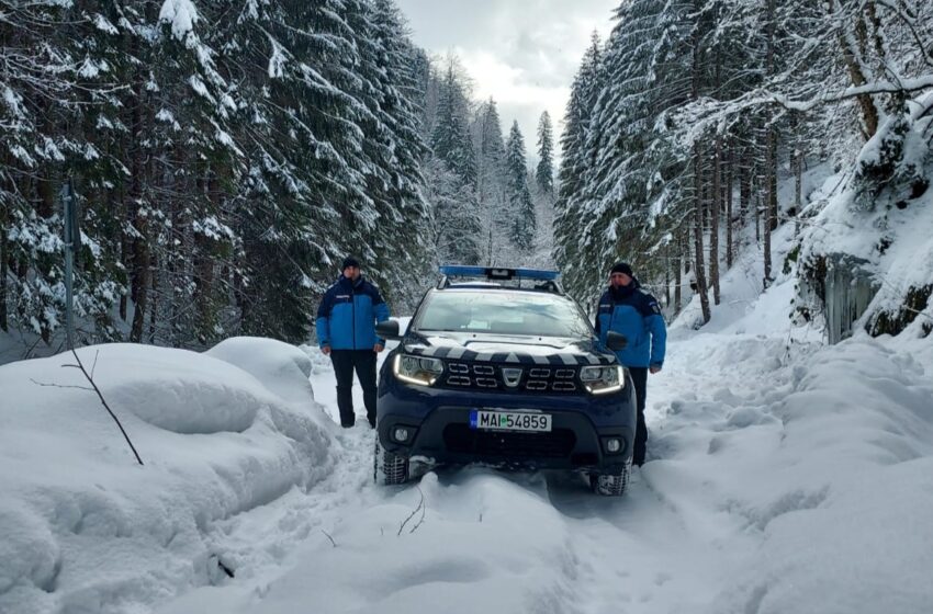  Jandarmii montani sunt la datorie în zonele din aria de competență din județ! FOTO