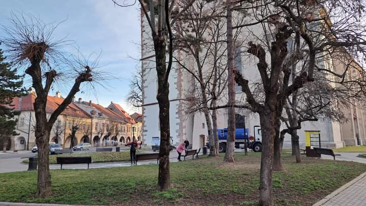  Intervenții programate în săptămâna 26 februarie-3 martie de Primăria Bistrița