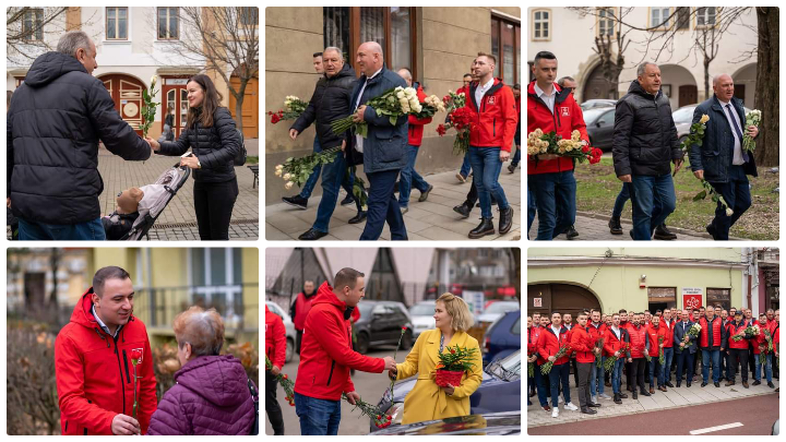  Liderii PSD-iști bistrițeni au oferit flori femeilor din Bistrița. FOTO