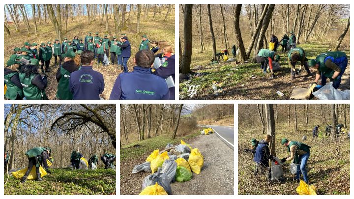  A fost ecologizată Pădurea de la Sărățel de către echipele ADI Deșeuri Bistrița-Năsăud.FOTO