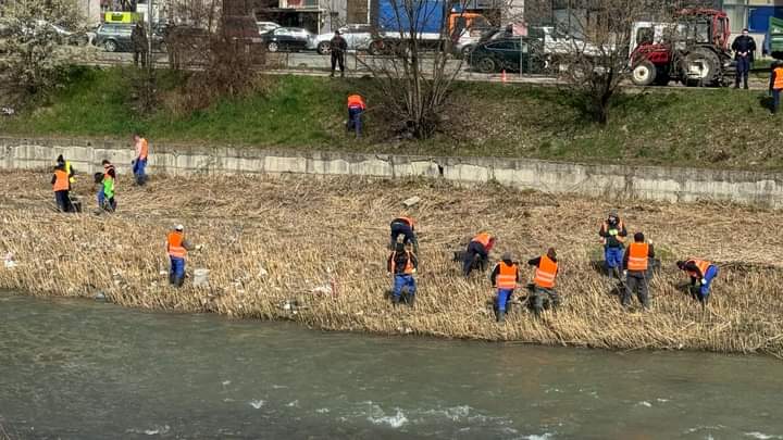  Deținuții din Penitenciar fac curățenie pe malurile râului Bistrița din municipiu. FOTO