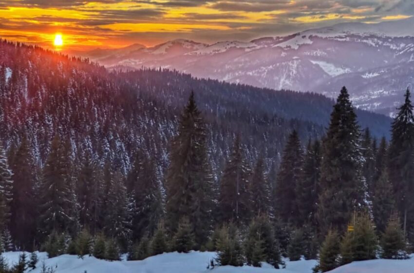  Vreme rece până vineri în tot județul. Se va forma brumă și îngheț la sol