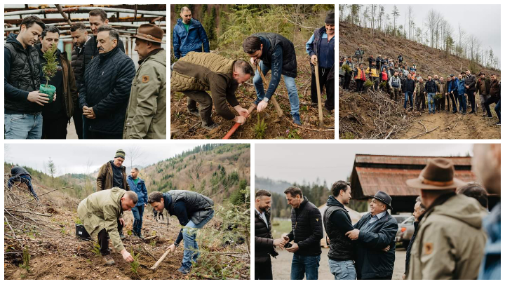  Robert Sighiartău prezent la o acțiune de împădurire în Munții Rodnei. FOTO