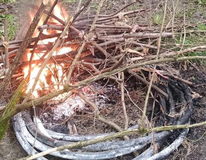  Bărbat prins de Poliția Locală că a aprins cabluri în Pădurea Codrișor