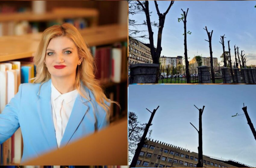  Diana Morar: Spital finanțat din banii cetățenilor, folosit ca emblemă electorală