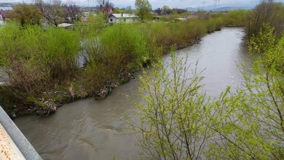  Proiect privind refacerea ecosistemelor acvatice ale râului Bistrița. FOTO