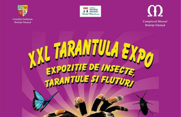  Expoziția „XXL TARANTULA EXPO”, la Complexul Muzeal Bistrita-Nasaud