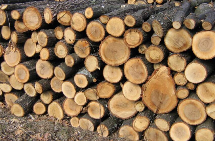  Material lemnos, confiscat în cadrul unor acțiuni pentru protejarea fondului forestier