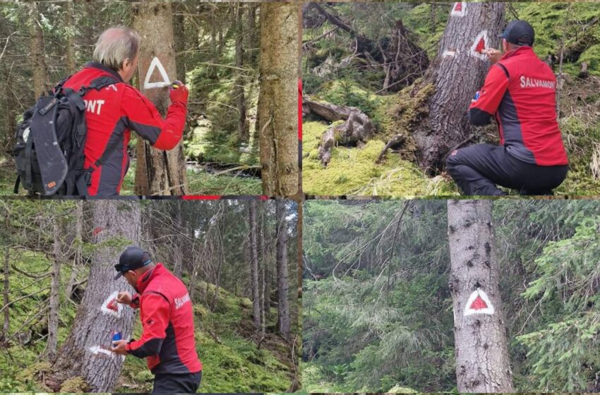  Salvamontiștii bistrițeni au finalizat remarcarea traseului turistic Colibița-Izvorul Lung-Șaua Terha. FOTO