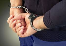  Bărbat de 42 de ani din Tureac reținut de polițiști pentru transport ilegal de lemne