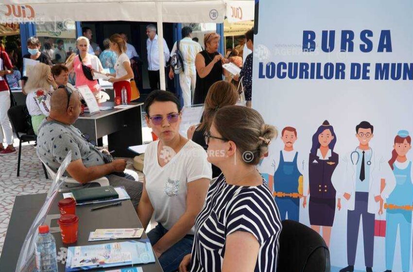  Are loc primul târg de locuri de muncă pentru asistenți sociali în județul Bistrița Năsăud