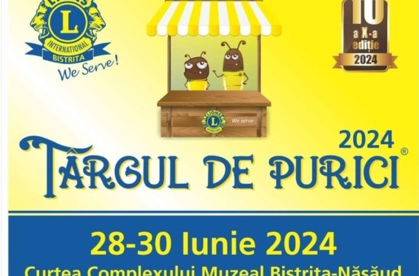  Târgul de Purici, în 28-30 iunie la Complexul  Muzeal Bistrița