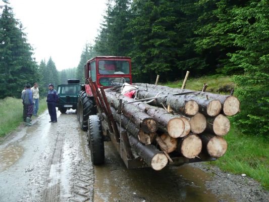  Bărbat reținut de polițiști, bănuit de infracțiuni la regimul silvic