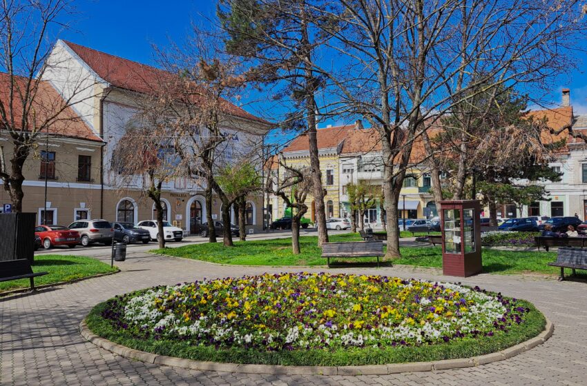 Din 12 august se pot depune dosarele pentru acordarea Burselor de merit „NOSA”