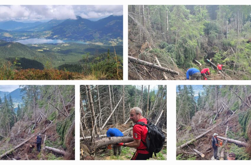  A fost redeschis traseul turistic Piatra lui Orban din Munții Călimani. FOTO