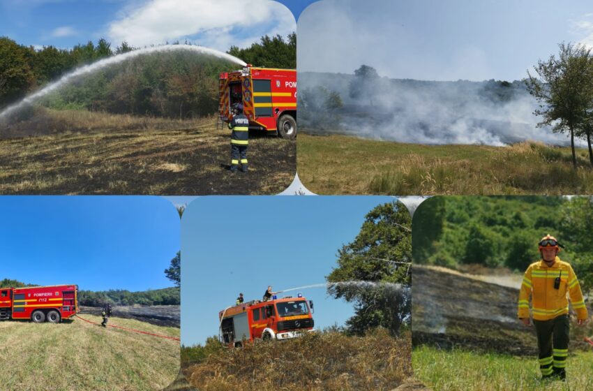  INCENDIU de vegetație uscată în zona pădurii Sigmir de lângă Bistrița. FOTO